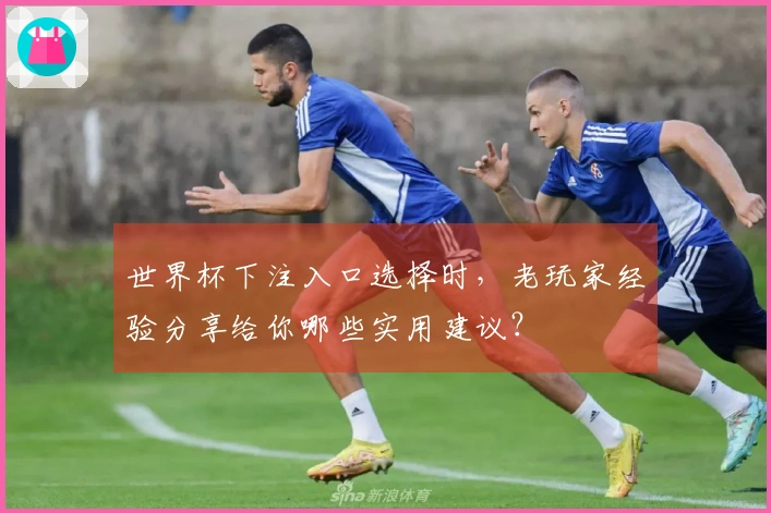 世界杯下注入口选择时，老玩家经验分享给你哪些实用建议？