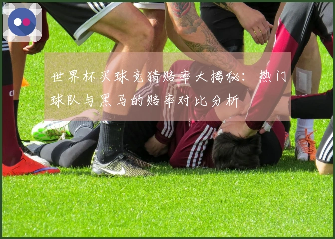 世界杯买球竞猜赔率大揭秘：热门球队与黑马的赔率对比分析